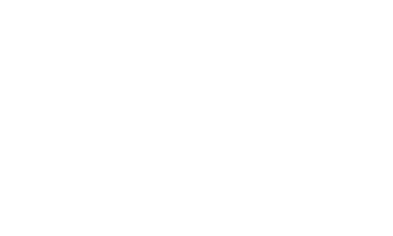 Little Monkey | Producties Events Concepts